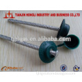 Roof Screw nail with Neoprene Washer nails